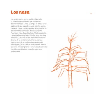 11Los nasa
Los nasa o paeces son un pueblo indígena de
la zona andina colombiana que habita en el
departamento del Cauca. Su lengua es el nasa yuwe
o páez, en la que la palabra «nasa» significa «gente».
Fuera del Cauca, los nasa también se encuentran en
departamentos como Valle del Cauca, Tolima,
Putumayo, Huila, Caquetá y Meta. A la llegada de los
conquistadores, en el siglo XVI, ofrecieron una dura
resistencia y, aún hoy en día, mantienen una sólida
defensa de su territorio. Actualmente, los nasa
habitan cerca de un centenar de resguardos en
todo el país, y en muchos de ellos conviven además
con otras etnias originarias y cercanas culturalmente,
como los guambianos o misak, los coconucos
y los totoroes.
 
