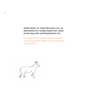 28
Nxadx tasxka´ ne´ teeçx thẽ´kwene u´pu, ew
pẽezxkwesa kim nxuhpa thegnximee, naasa
pi´txsa teeçx alku çximekweçxhaane nxu´.
En la región de Tierradentro había una abuelita
muy vieja que nadie cuidaba: solo la acompañaba
un perro blanco.
 