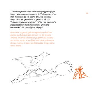 39
Txa´we isaҫxanxu meh sena wẽttepa jiyune jĩiҫxa
teeҫx nxinxkweҫxa nxunupne ῦ´. Vxite eente, ki´kin
meh nxinxkwe pa´ka sxawe´dne, txã´wẽnnxu´
teeҫx tasxkwe ҫxanxane´ buҫxana ῦ´ste u´y.
Txã´we zxiҫxkwe u´yҫxanxu´, na´jik: naa tasxkwe´s
jxpejxapath kih makh nxuna kãh. Enxisane´
eenkwe ku´txiji´ pethe´guna fxi´ҫeya´.
Al otro día, la garosa gallinita regresó por el último
granito que había dejado, pero en vez del granito
amarillo encontró una matica ya germinada. Al verla
tan bonita, se dijo: «La cuidaré y así sabré qué resulta
de esta matica». Y todos los días sacaba tiempo para
ver su tesoro.
 