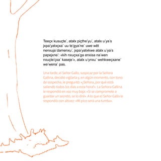 Teeҫx kusuҫte´, atalx piҫthe´yu´, atalx u´ya´s
jxpa´yatxҫxa´ uu te´gya´ne´ uwe wẽt
nenxuja´damenxu´, jxpa´yatxkwe atalx u´ya´s
papejxne´: «kih nxuҫxa´ga enxisa na´wen
nxuҫte´ҫxa´ kaseje´», atalx u´ynxu´ wehkweҫxane´
we´wena´ pas.
Una tarde, el Señor Gallo, suspicaz por la Señora
Gallina, decidió vigilarla y, en algún momento, con tono
de sospecha, le preguntó: «¿Señora, por qué está
saliendo todos los días a esta hora?». La Señora Gallina
le respondió en voz muy baja: «Si se compromete a
guardar un secreto, se lo diré». A lo que el Señor Gallo le
respondió con altivez: «Mi pico será una tumba».
 
