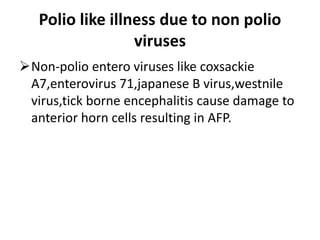 Polio like illness due to non polio
viruses
Non-polio entero viruses like coxsackie
A7,enterovirus 71,japanese B virus,westnile
virus,tick borne encephalitis cause damage to
anterior horn cells resulting in AFP.
 