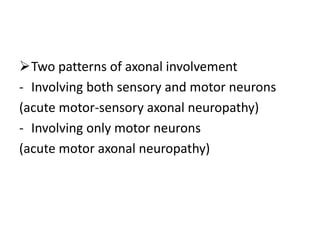 Two patterns of axonal involvement
- Involving both sensory and motor neurons
(acute motor-sensory axonal neuropathy)
- Involving only motor neurons
(acute motor axonal neuropathy)
 