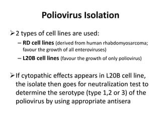 Poliovirus Isolation
2 types of cell lines are used:
– RD cell lines (derived from human rhabdomyosarcoma;
favour the growth of all enteroviruses)
– L20B cell lines (favour the growth of only poliovirus)
If cytopathic effects appears in L20B cell line,
the isolate then goes for neutralization test to
determine the serotype (type 1,2 or 3) of the
poliovirus by using appropriate antisera
 