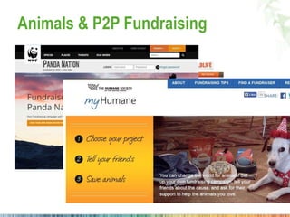 Peer to Peer Fundraising at AFPICON  Slide 30
