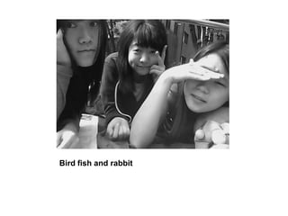 Bird fish and rabbit,[object Object]