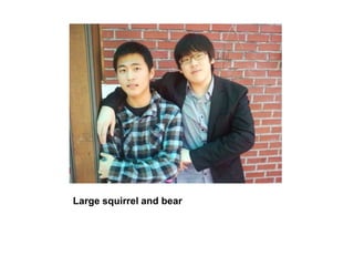 Large squirrel and bear,[object Object]