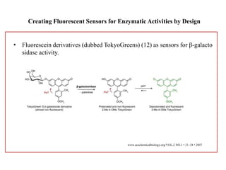 VOL.2 NO.1 • 31–38 • 2007
Creating Fluorescent Sensors for Enzymatic Activities by Design
• Fluorescein derivatives (dubbed TokyoGreens) (12) as sensors for β-galacto
sidase activity.
www.acschemicalbiology.org/VOL.2 NO.1 • 31–38 • 2007
 