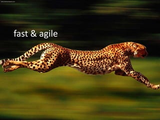 fast & agile