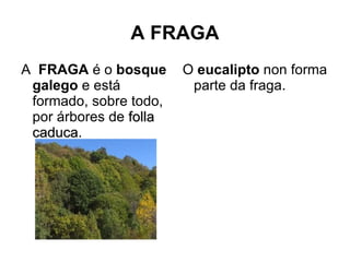 A FRAGA
A FRAGA é o bosque      O eucalipto non forma
 galego e está           parte da fraga.
 formado, sobre todo,
 por árbores de folla
 caduca.
 caduca
 