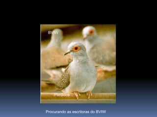 BVIWPerdidos...Procurando as escritoras do BVIW