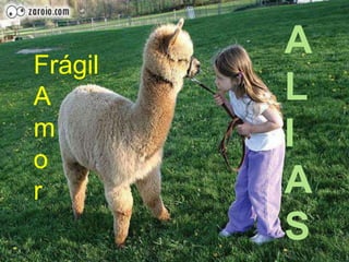ALIASFrágil Amor
