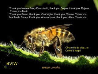 Thank you Norma Suely Facchinetti, thank you Deyse, thank you, Rejane, Thank you Maith Thank you Sarah, thank you, Conceição, thank you, Vanice, Thank you,  Marília de Dirceu, thank you, Anamarques, thank you, Alias. Thank you. Olha o fio da vida...rs Como é frágil! BVIW MARÍLIA L PAIXÃO 