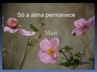 Só a alma permanece Maith 