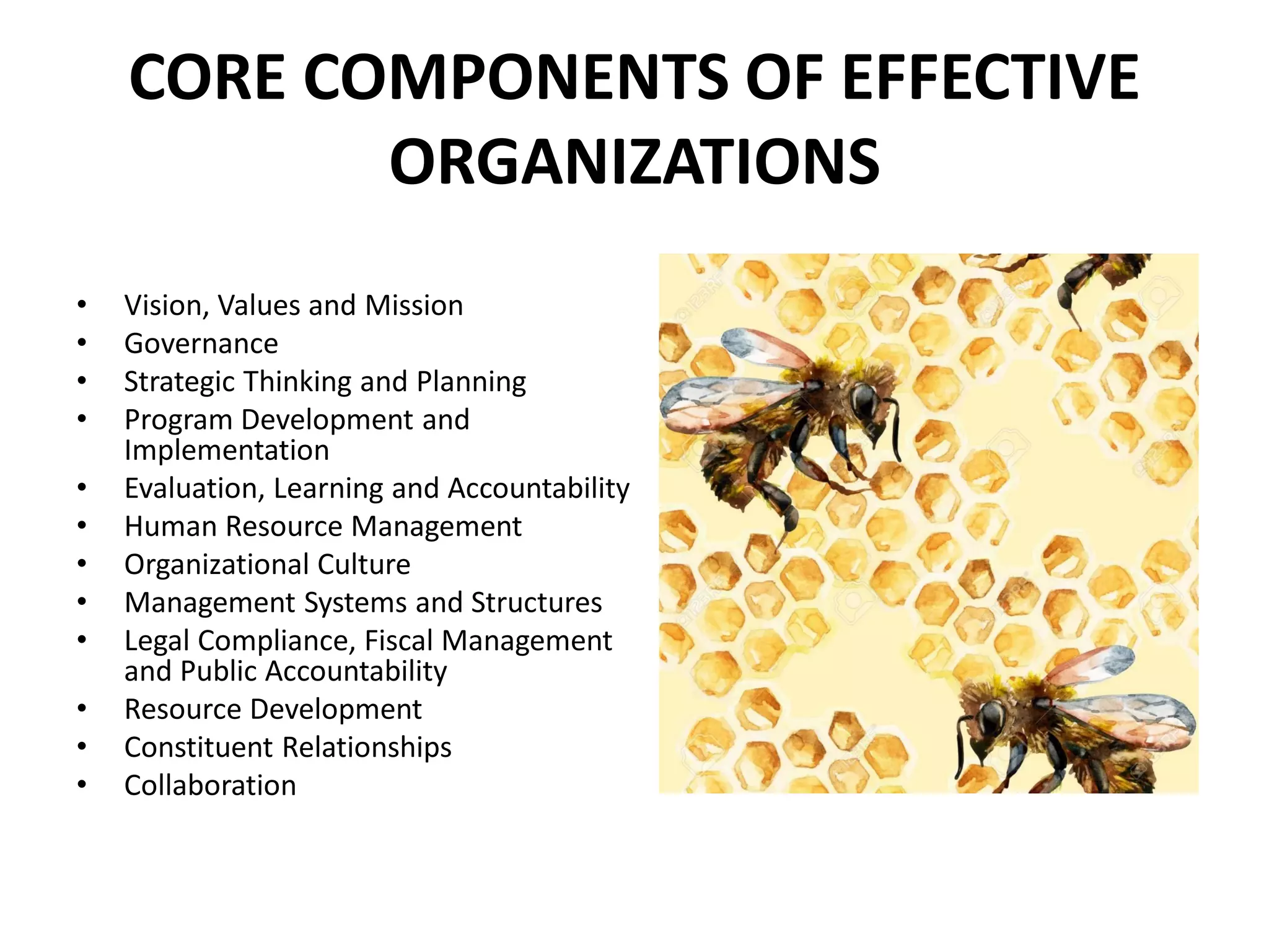 CORE COMPONENTS OF EFFECTIVE
ORGANIZATIONS
• Vision, Values and Mission
• Governance
• Strategic Thinking and Planning
• Program Development and
Implementation
• Evaluation, Learning and Accountability
• Human Resource Management
• Organizational Culture
• Management Systems and Structures
• Legal Compliance, Fiscal Management
and Public Accountability
• Resource Development
• Constituent Relationships
• Collaboration
 