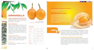 Cómo Escoger y Mantener la Uchuvas
                                                                                                                      La fruta debe ser madura cuando se come. Se mantiene
                                                                                                                      mejor en su piel externa.

                                                                                                                      Propiedades Nutricionales
                                                                                                                      La uchuva purifica la sangre, reconstruye y fortalece el
GRANADILLA                                                                                                            nervio óptico, limpia las cataratas, y alivia problemas de la
                                                                                                                      garganta. Se caracteriza por ser una excelente fuente de
                                                                                                                      pro-vitamina A y vitamina C, y algunos complejos de
Origen y Regiones de Producción
Fruta originaria de América que crece en Colombia en los                                                              vitamina B. Tiene un alto contenido proteico y de fósforo.
departamentos de Valle del Cauca, Quindío, Caldas,                                                                    Debido a sus propiedades diuréticas, se recomienda para
Boyacá, Antioquia y Cundinamarca.                                                     Familia: Frutas de la Pasión    personas con problemas de próstata, y también se utiliza
                                                                 Nombre Científico: Passiflora edulis fv flavicarpa   como tranquilizante natural.
Características
Esta es una planta trepadora que adquiere una gran
longitud. Sus flores tienen forma de campana, con              Composición en
pétalos tubulares de color blanco y lila. La fruta tiene una   100g de pulpa
forma ovalada y es de color naranja, con pequeños
puntos blancos. Su cáscara es suave y dura, para               Humedad          69.9 g     Hierro       0.58 mg
proteger la pulpa, que tiene una textura gelatinosa con
"ampollas" de color gris. El diámetro promedio es de 11        Proteína         0.34 g     Carotina    0.035 mg
                                                                                                                      USO                          Esta fruta se puede comer fresca ya sea sola o en ensaladas, postres o almíbar
                                                                                                                                                                     e        fresca,                ensaladas            almíbar,
                                                                                                                                                   y con otras frutas dulces. Un uso importante en la actualidad es con fines
centímetros. Es la fruta más dulce de su familia, y tiene                                                                                          terapéuticos. En algunos países como Colombia, se procesa para fabricar
un aroma fuerte.                                               Grasa            1.50 g     Tiamina     0.002 mg                                    productos tales como el yogur, mermeladas, helados, conservas y licores. La
                                                                                                                                                   uchuva se utiliza con frecuencia para decorar tartas y pasteles.
Región de Cultivo                                              Fibra            3.20 g     Riboflavina 0.063 mg
La Granadilla se cultiva en la Región Andina, a elevacio-
nes entre 1,800 metros y 2,400 metros por encima del
                                                                                                                                                   La Uchuva y la Sinfonía de Chocolate
                                                               Calcio           5.60 mg    Niacina      1.42 mg                                    Fruta internacionalmente recomendada y ampliamente utilizada en pastelería
nivel del mar, donde la temperatura varía entre 18°C
hasta 26°C y una pluviosidad de 1,200 mm. /año.                                                                                                    moderna y como novedad en platos gastronómicos. Tiene varios usos, en
                                                               Fósforo          44.0 mg    Ceniza       0.87 g                                     salsas, mermeladas y frutas secas o como frutas frescas acompañadas por una
Cosecha                                                                                                                                            capa de chocolate o salsa de chocolate, soportada por su propia envoltura. Se
                                                               Ácido            10.8 mg                                                            recomienda para acompañar con dulce de chocolate oscuro o como parte de
Crece durante el año, especialmente en junio, julio,           Ascorbico
noviembre y diciembre.                                                                                                                             una cena importante.
 