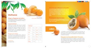 Cómo Escoger y Mantener la Granadilla
                                                                                                              La fruta está madura cuando su corteza cede a una leve
                                                                                                                                                                  na
                                                                                                                                                                   ura,
                                                                                                              presión de los dedos. Si no está completamente madura, se
                                                                                                                                                                  adurar,
                                                                                                              debe dejar a temperatura ambiente. Después de madurar,
                                                                                                                                                                   r.
                                                                                                              se debe dejar en la parte menos fría del refrigerador. Dura
                                                                                                                                                                  ntero
                                                                                                              hasta una semana si se refrigera, y si se congela (entero o

Uchuva                                                                                                        pulpa) permanece en excelentes condiciones durante
                                                                                                              meses.
                                                                                                                                                                   urante


                                                                                       Familia: Solanaceae
Origen y Regiones de Cultivo
                      ultivo                                          Nombre Científico: Physalis peruviana   Propiedades Nutricionales
Fruta originaria de América. En Colombia, se cultiva                                                          Esta fruta es notable por su contenido bajo en grasa y por
                                                                                                                                                                 a
en los Departamentos de Cundinamarca y Boyacá, y                                                              ser rica en fibra y vitaminas A, C y K. También contiene
                                                                                                                                                                 ontiene
en los prados de Bogotá.                                                                                      fósforo, hierro y calcio.

Características
Arbusto con las ramas caídas que por lo general           Composición en
crece hasta una altura de un metro. Sus flores            100g de pulpa
amarillas tienen forma de campana, por lo que son
                                                          Humedad          78.9 g.    Hierro     1.23 mg

                                                                                                              USO
polinizadas con facilidad. La fruta, que tiene un
diámetro de entre 1,25 y 2 centímetros, es redonda,
amarilla y dulce. Su estructura interna es similar a la   Proteina         0.054 g.   Carotina   1.613 mg
de un tomate en miniatura.                                                                                                                       La Granadilla se come principalmente en forma de fruta fresca. Se
                                                          Grasa            0.16 g.    Tiamina    0.28 mg                                         puede usar en jugos, cócteles, helados, helados, mermeladas y jaleas.
Región de Cultivo                                                                                                                                Sus semillas son crujientes y tan agradables como la pulpa. Sus flores
La uchuva crece en la Región Andina a alturas de          Fibra            4.9 g.     Riboflavina 0.032 mg                                       se utilizan en perfumes.
entre 2,200 y 2,700 metros sobre el nivel del mar, y
necesita una temperatura entre 14°C y 20°C y una          Calcio           8.0 mg     Niacina    1.73 mg                                         Raspado de Granadilla (Hielo Triturado)
cifra de precipitación de al menos 1,000 mm. /año.                                                                                               Se recomienda servirlo dentro de la cáscara, en una copa de cham-
                                                          Fosforo          55.3 mg    Ceniza     1.01 g                                          paña, después de primero retirar la membrana para facilitar el manejo
Cosecha                                                                                                                                          con una pequeña cuchara. También se puede usar en pasteles (pies) o
                                                          Ácido            43.0 mg
A lo largo del año.                                       Ascorbico                                                                              compotas (comida para bebé) y Comidas Ligeras. También se reco-
                                                                                                                                                 mienda en casos de acidez.
 