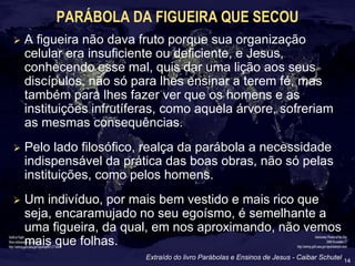 14
PARÁBOLA DA FIGUEIRA QUE SECOU
 A figueira não dava fruto porque sua organização
celular era insuficiente ou deficiente, e Jesus,
conhecendo esse mal, quis dar uma lição aos seus
discípulos, não só para lhes ensinar a terem fé, mas
também para lhes fazer ver que os homens e as
instituições infrutíferas, como aquela árvore, sofreriam
as mesmas consequências.
 Pelo lado filosófico, realça da parábola a necessidade
indispensável da prática das boas obras, não só pelas
instituições, como pelos homens.
 Um indivíduo, por mais bem vestido e mais rico que
seja, encaramujado no seu egoísmo, é semelhante a
uma figueira, da qual, em nos aproximando, não vemos
mais que folhas.
Extraído do livro Parábolas e Ensinos de Jesus - Caibar Schutel
 