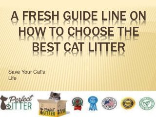 A FRESH GUIDE LINE ON
HOW TO CHOOSE THE
BEST CAT LITTER
Save Your Cat's
Life
 
