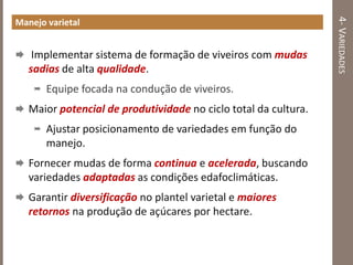 4-VARIEDADES
Manejo varietal
 Implementar sistema de formação de viveiros com mudas
sadias de alta qualidade.
 Equipe focada na condução de viveiros.
 Maior potencial de produtividade no ciclo total da cultura.
 Ajustar posicionamento de variedades em função do
manejo.
 Fornecer mudas de forma continua e acelerada, buscando
variedades adaptadas as condições edafoclimáticas.
 Garantir diversificação no plantel varietal e maiores
retornos na produção de açúcares por hectare.
 
