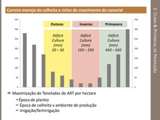 2-CLIMA&POTENCIALDEPRODUÇÃO
Correto manejo de colheita e ciclos de crescimento do canavial
0
50
100
150
200
250
300
350
0
50
100
150
200
250
300
350
janeiro fevereiro março abril maio junho julho agosto setembro outubro novembrodezembro
Outono Inverno Primavera
Déficit
Cultura
(mm)
20 – 50
Déficit
Cultura
(mm)
150 – 250
Déficit
Cultura
(mm)
450 – 650
 Maximização de Toneladas de ART por hectare
Época de plantio
 Época de colheita x ambiente de produção
 Irrigação/fertirrigação
 
