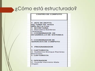 ¿Cómo está estructurado?