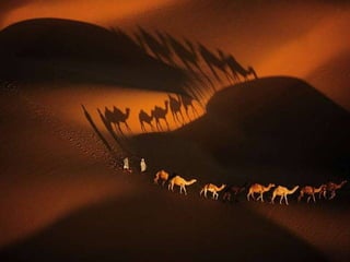 Africa...