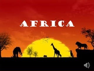 Africa
 