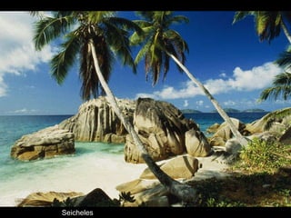 Seicheles 