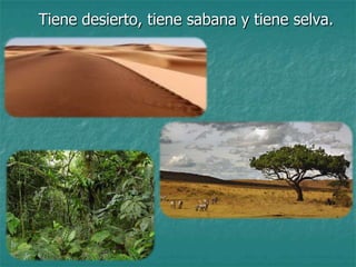 Tiene desierto, tiene sabana y tiene selva.
 