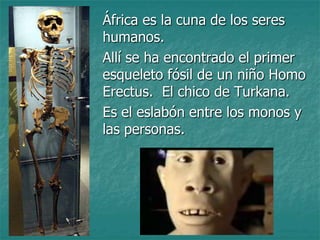 África es la cuna de los seres
humanos.
Allí se ha encontrado el primer
esqueleto fósil de un niño Homo
Erectus. El chico de Turkana.
Es el eslabón entre los monos y
las personas.
 