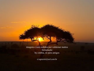 imagens e som cedidos por valdemar mattos formatação by cinthia, só para amigos [email_address] 