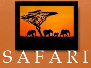 SAFARI
 