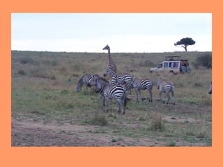 Ms. Moseley's Trip to Africa!
