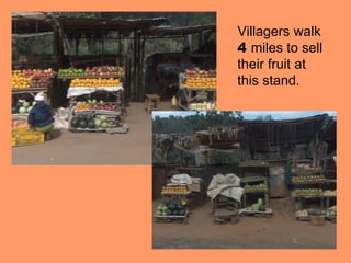 Villagers walk
4 miles to sell
their fruit at
this stand.
 