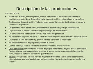 Descripción de las producciones ARQUITECT URA Materiales: madera, fibras vegetales, cueros. Se toma de la naturaleza únicamente la cantidad necesaria. No se desperdicia nada. La construcción es integrada en la naturaleza.  Tradición oral de construcción.  Todas las casas son similares, esto da identidad al pueblo a través de la arquitectura Los poblados, vistos desde arriba, tienen formas de animales (tortuga, leopardo, etc.) La jerarquía de la persona se define según qué lugar del animal habite Las construcciones se renuevan cada 10 o 15 años, por generación No hay sentido orgánico de “casa”. Cada habitación responde a sus medidas, incluso el techo.  La vivienda es sólo para dormir y guardar objetos. Se vive en la Naturaleza No hay delimitaciones de propiedad privada, ni cercos Cuando un hijo/a se casa, abandona la familia y funda su propia vivienda. Casas comunales:  son centros de reunión de grupos de hombres, mujeres o de la comunidad. Pueden albergar mucha gente bajo su techo. Si son centro de una comunidad secreta, las ropas, máscaras y efectos rituales son guardados allí. Palacios : son iguales a las casa pero de mayores dimensiones. Suelen tener decoraciones, tallas, pilotes o algo que las distinga y las haga resaltar. Son vivienda del rey, su familia y de su corte 