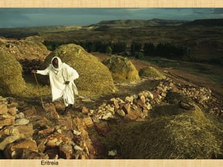 Eritreia
 