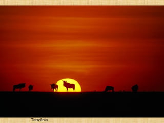 Tanzânia
 