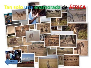 Tan solo una enamorada de ÁFRICA
Atrás
 