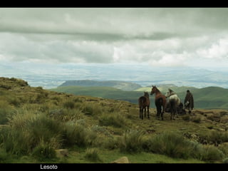 Lesoto
 