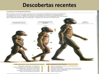 Descobertas recentes
 