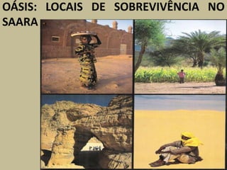 OÁSIS: LOCAIS DE SOBREVIVÊNCIA NO
SAARA
 