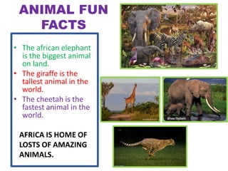 ANIMAL FUN
FACTS
• The african elephant
is the biggest animal
on land.
• The giraffe is the
tallest animal in the
world.
• The cheetah is the
fastest animal in the
world.
AFRICA IS HOME OF
LOSTS OF AMAZING
ANIMALS.
 