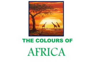 THE COLOURS OF
AFRICA
 