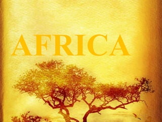 AFRICA
 