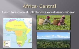 A estrutura colonial : plantationplantation e extrativismo mineral
 