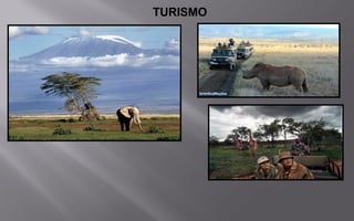 TURISMO
 