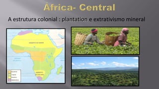 A estrutura colonial : plantationplantation e extrativismo mineral
 