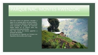 PARQUE NAC. MONTES RWENZORI
Este sitio cuenta con glaciares, cascadas y
lagos. Es un paisaje alpino de gran belleza.
Tiene numerosos hábitats naturales donde
viven animales en peligro de extinción.
Nadie habita en su interior pero hay
cultivos en las áreas limítrofes.
Hay tres zonas de brezos gigantes y
bosques de bambú.
Se encuentra en Uganda con frontera con
República Democrática del Congo
 