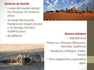 Desierto de Namib
 + viejo del mundo (desde
Era Terciaria, 65´millones
años)
 Va desde Río Kunene,
frontera con Angola (norte)
y río Orange, frontera
Sudáfrica (sur)
 81,000km2.
Desiero Kalahari
 930,000 km2
 Países sur africanos (Botsuana,
Namibia, Sudáfrica)
 Roedores, antílopes, jirafas,
leones
 Poca vegetación y esporádica
agua.
 