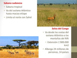 Sabana sudanesa
 Sabana tropical
 Va del océano Atlántico
hasta macizo etíope
 Limita al norte con Sahel
Selva del Congo
 Va desde las costas del
océano Atlántico a las
montañas del Rift
 Extensión 1´800.000
km2
 Alberga 24 millones de
personas, 14 países
 